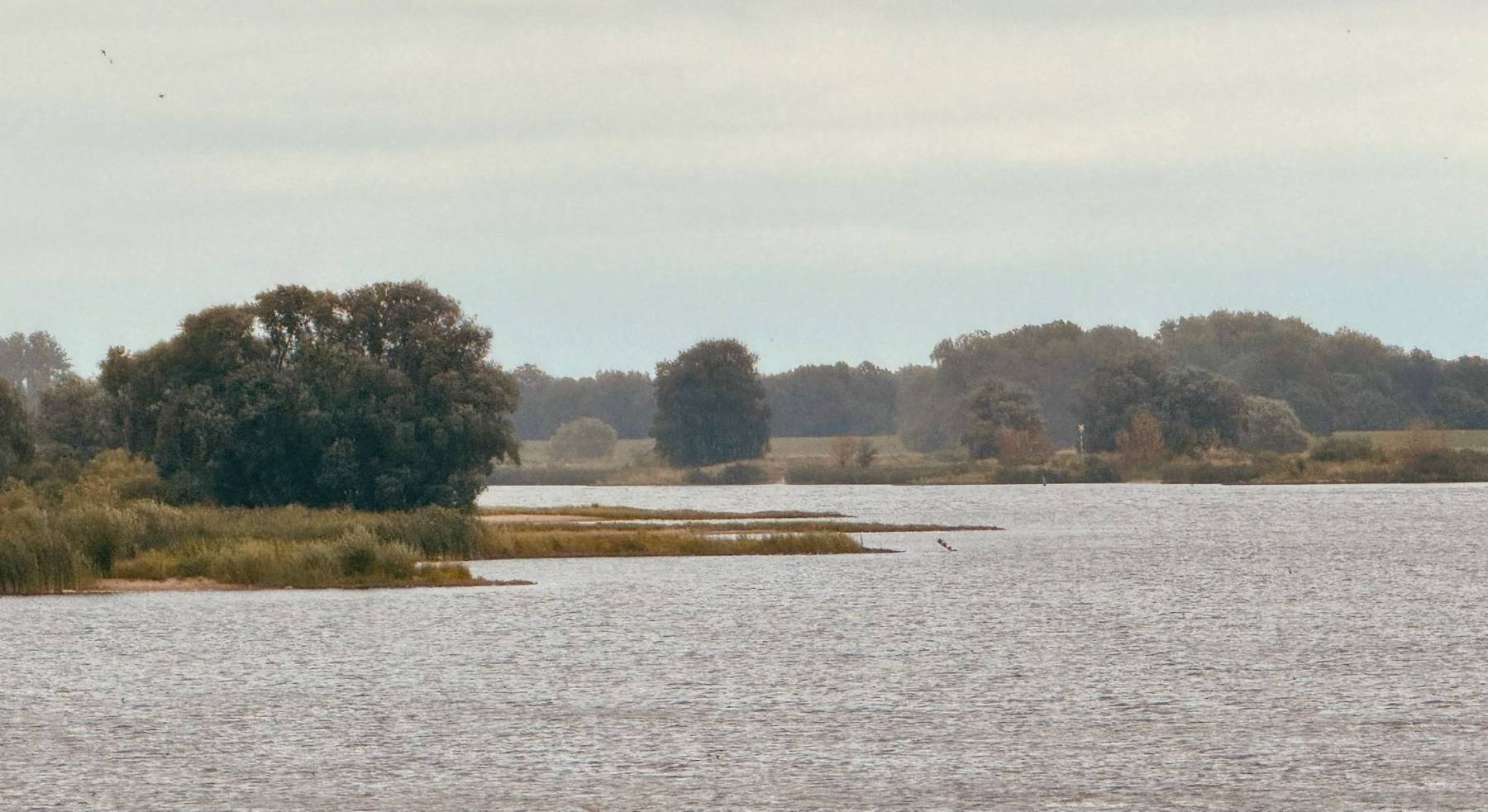Stille Elbe mit Baumgruppen im Dunst